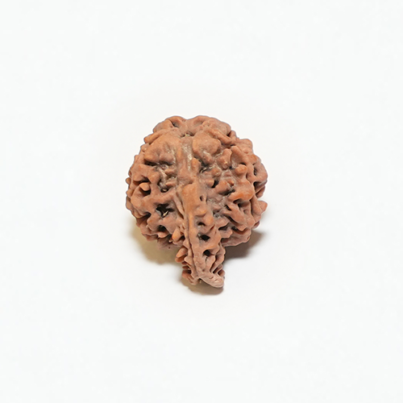 ganesh